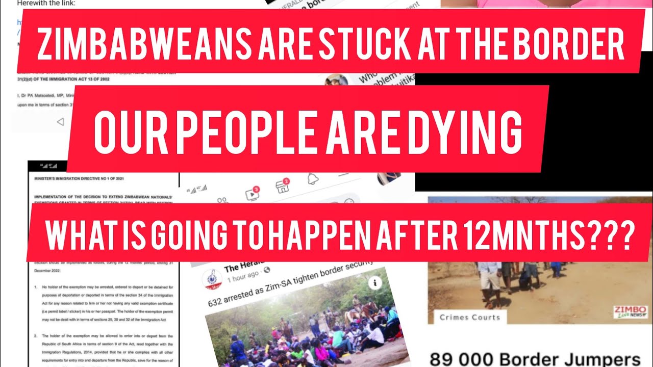 zimbabweans can't get into South Africa, ZEP holders, illegal