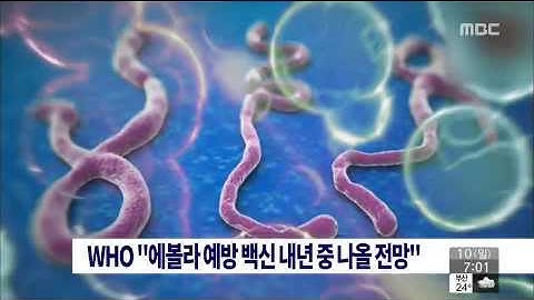 [14/08/10 뉴스투데이] WHO "에볼라바이러스 예방 백신 내년 중 나올 전망"