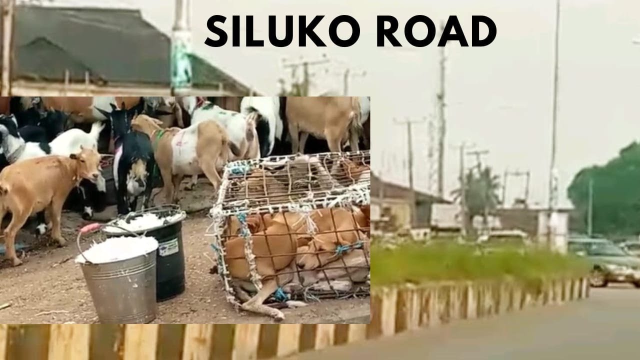 How Does Edo State Benin City Nigeria/Drive Through Upper Siluko Road/Ogida Barracks/Teachers House