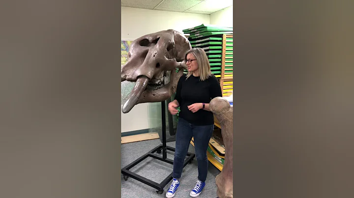Ms.Bumpy-head: Discoveries from the Ice Age!