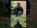 Arathejay _ Jesus Christ 2 ft. black Sherif