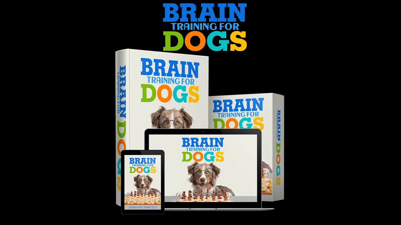 Top 10 Dog Training Tips| Home And Garden Channel