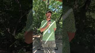 Answering Your Birding Questions with Central Park Guide Ryan! #shorts
It’s fall migration season here in Central Park and Tour Guide Ryan is here to answer your burning birding questions! 🦆
Catch a birding tour before our feathered friends fly south for winter: https://bit.ly/42JbKgt
The mission of the Central Park Conservancy is to preserve and celebrate Central Park as a sanctuary from the pace and pressures of city life, enhancing the enjoyment and wellbeing of all.
Learn more about our work here: https://bit.ly/3psB7N3
Subscribe for new content: http://www.youtube.com/c/centralparknyc Answering Your Birding Questions with Central Park Guide Ryan! #shorts