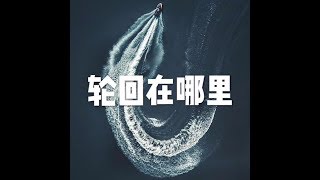201703 轮回在哪里22360