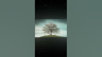 سورة الواقعة|20-26|القارئ:#محمد_اللحيدان #قران #quran #راحة_نفسية #قران_كريم#تلاوة_هادئة#تلاوة_خاشعة