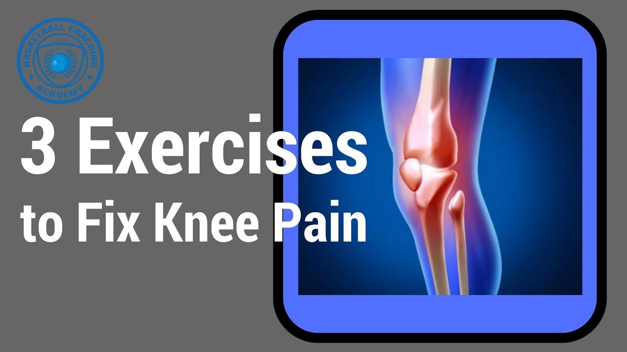 Basketball Knee Pain Patellar Tendonitis Exercises YouTube