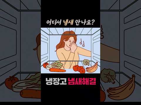 냉장고에서 냄새가 나요 #shorts #냉장고