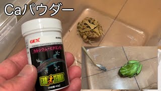 カルシウムパウダーをまぶして