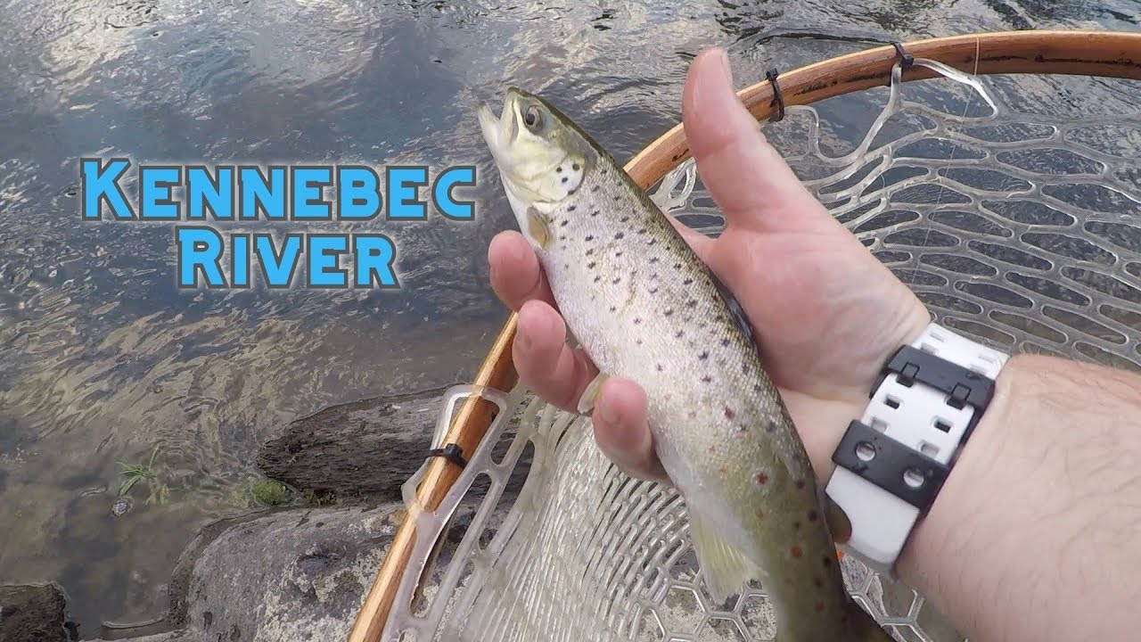 Ep.124. Fishing High Water for Trout. Kennebec River. Maine. YouTube