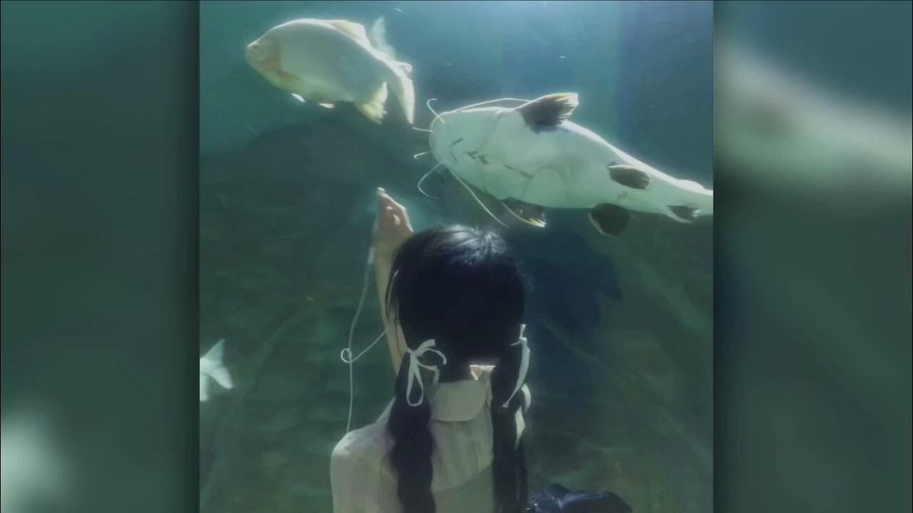 embrace — pastel ghost (sped up & echo) YouTube