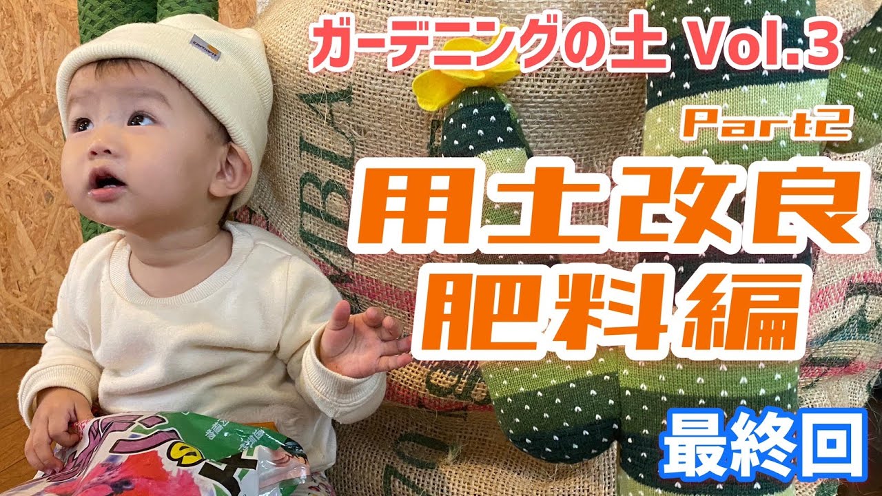 初心者 肥料 軽石 ゼオライト シリカ 植物に重要な3つの要素をご紹介 Vol 3 必見 Youtube 初心者 肥料 軽石 ゼオライト シリカ 植物に重要な3つの要素をご紹介 Vol 3 必見 Youtube