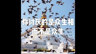 201803 你讨厌的是众生相　而不是众生23793