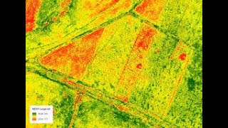 How to Calculate NDVI Index using Sentinel 2 in Arcgis & Classified Land use land Cover from NDVI