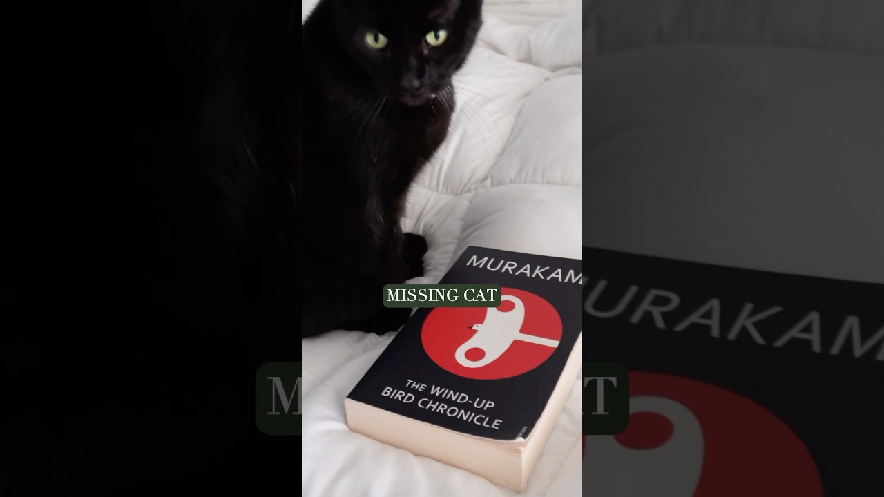 Top 3 Haruki Murakami books 