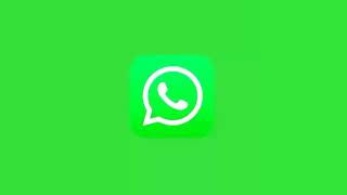 Green Screen Logo WA