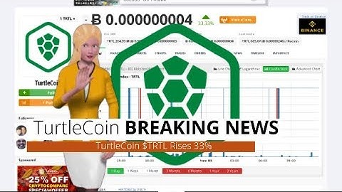 TurtleCoin $TRTL Appreciated 33% Over the Past Day