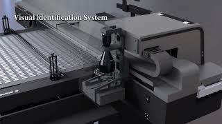 DLI 1319S, the Vision Flatbed with a conveyor.