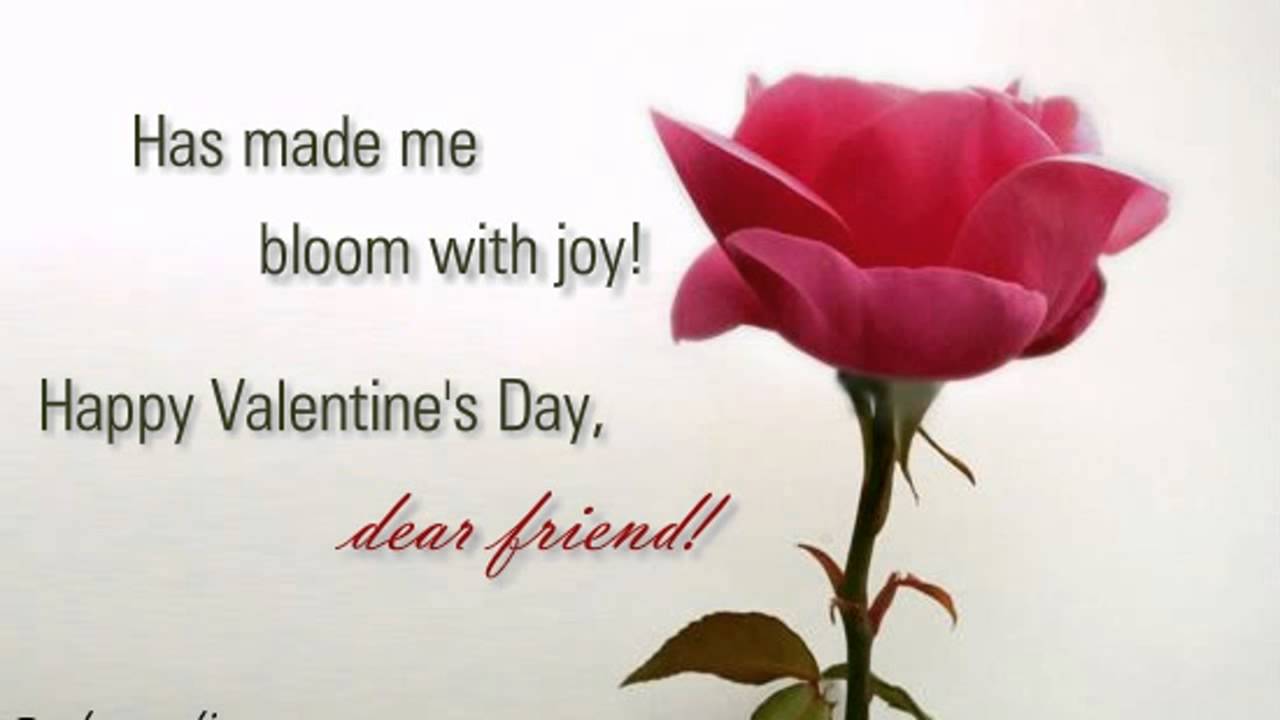 Happy Valentines Day General Friends Wishes Messages Video 08 02 Youtube
