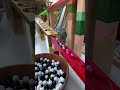 Marble run race ☆ HABA colorful wooden slope circular slope & pink ball and wooden bowl #2 #asmr