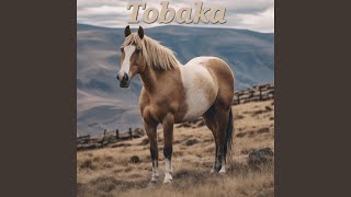 Tobaka