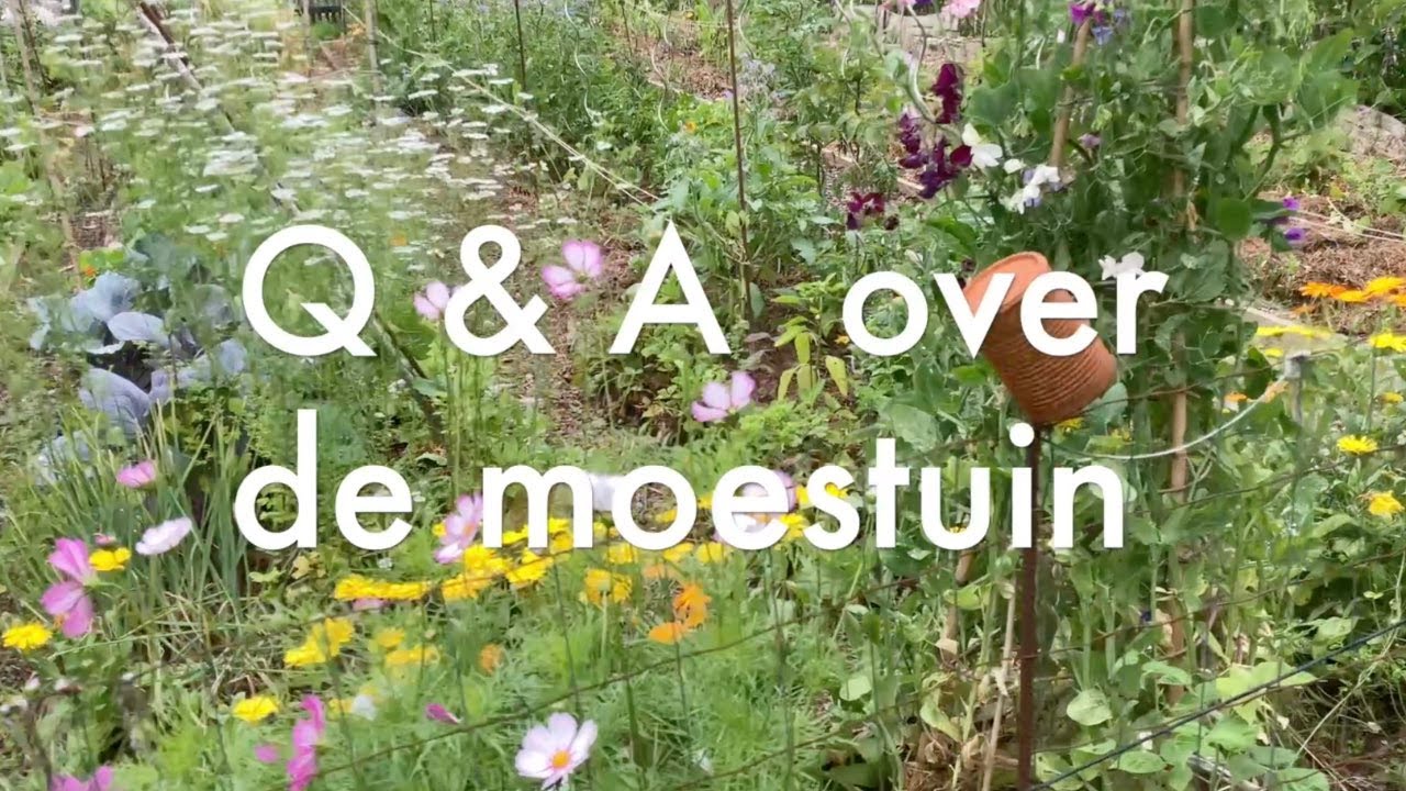 Ini's Moestuin Special #221 -Q & A, over diverse onderdelen en werkzaamheden in de moestuin.