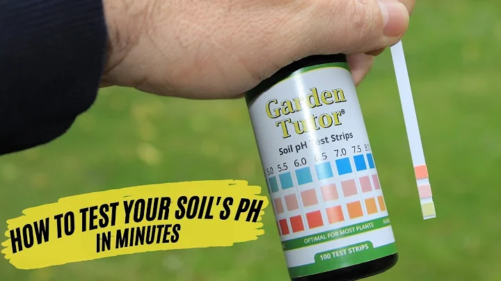 How to Test Your Soil's pH at Home Easily and Quickly