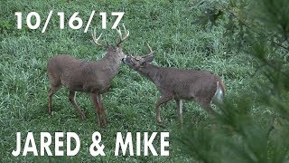 Famous Being Aggressive- Jared & Mike Wealth