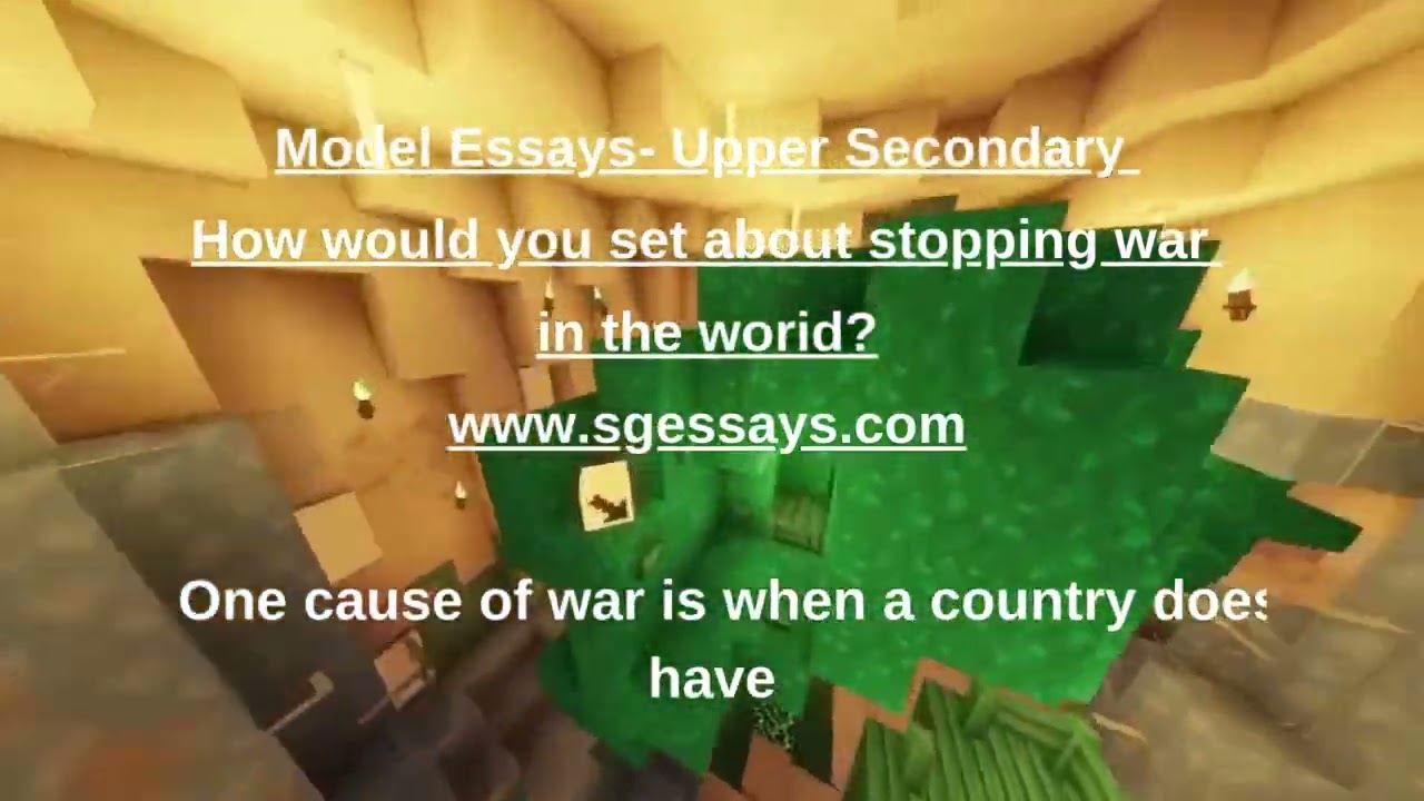 How would you set about stopping war in the world. - Reflective Essay