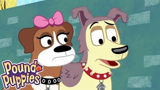 Pound Puppies The Really Weird Dog Season 1 Pet Cartoon