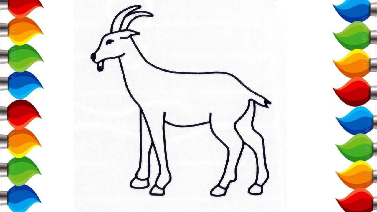 How to draw animal goat drawing, painting & coloring for kids and toddler_ middu drawing academy