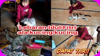 ini Yang dilakukan kucing kucing ketika Lebaran tiba  !! ada yang dapat THR, Ada yang Ngereog  !!