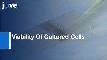 Counting & Determining Viability Of Cultured Cells l Protocol Preview