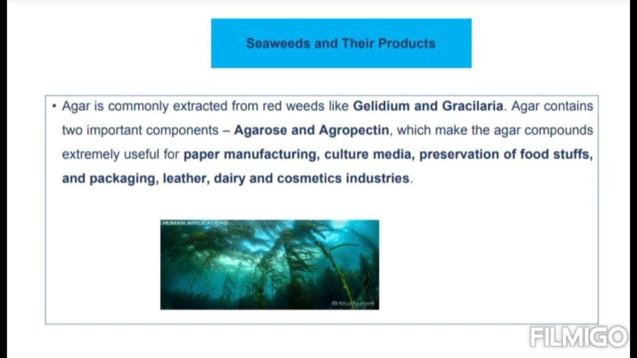 Marine biotechnology and its applications