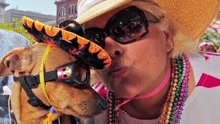 Cinco de Mayo: What you need to know