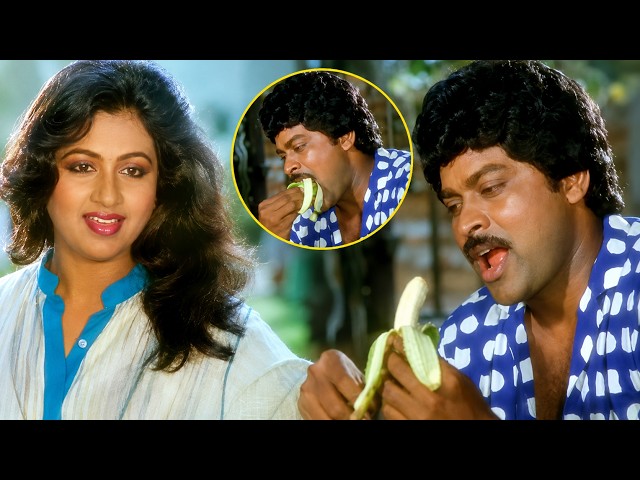 Donga Mogudu Movie Chiranjeevi and Radhika Best Comedy Scenes | Telugu Video|@iDreamCelebrityMasti