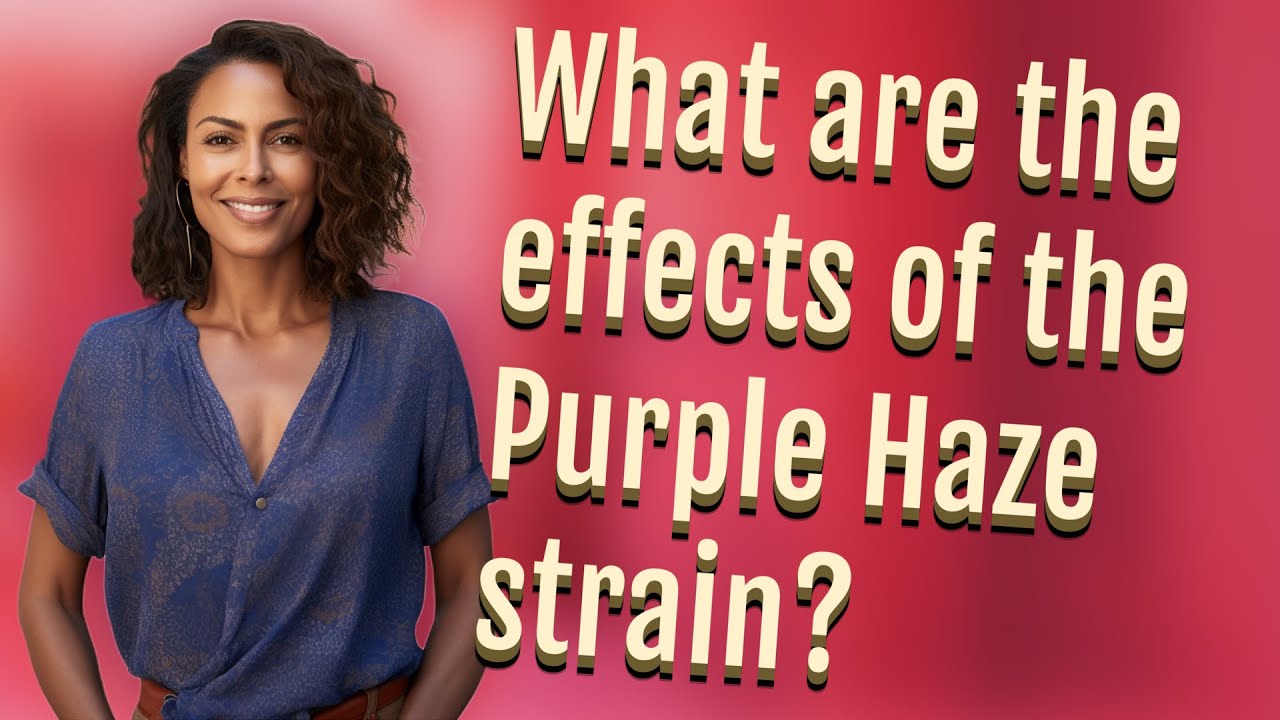 What are the effects of the Purple Haze strain?