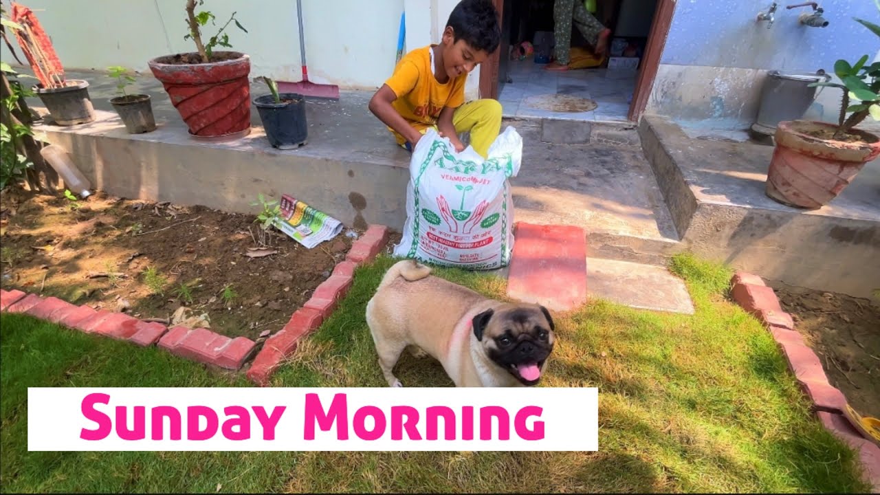 Sunday Morning With Kanpur Couple