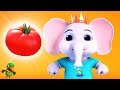 Color Song, Hathi Raja Ke Sath Rangon Ke Naam, आकार गीत + Educational Videos and Kids Rhymes