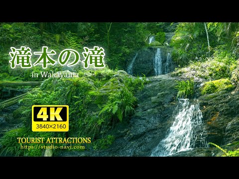 秘瀑 : 台高山脈珠玉の渓 秘瀑 : 台高山脈珠玉の渓 秘瀑 台高山脈 珠玉の滝