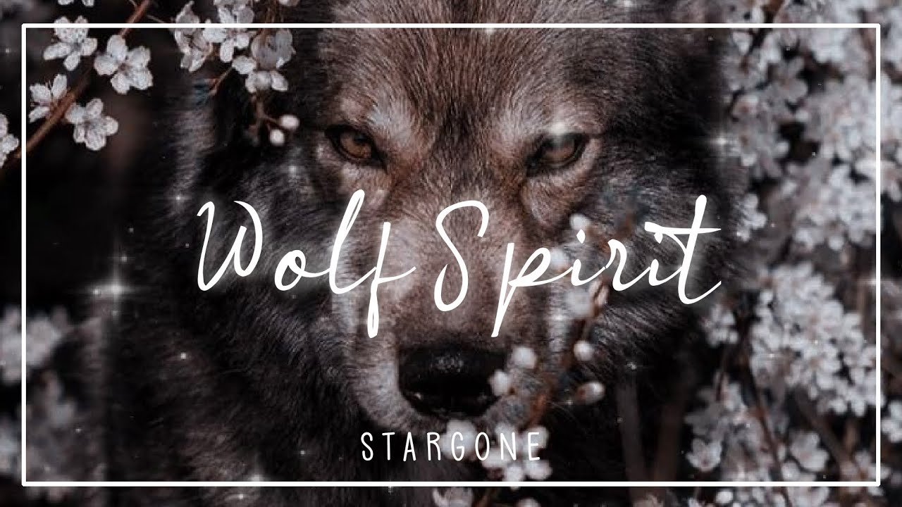 𝚠𝚘𝚕𝚏 𝚜𝚙𝚒𝚛𝚒𝚝 || wolf beauty, aura, agility, instincts subliminal 🐺