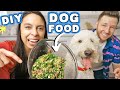 HOMEMADE DOG FOOD RECIPE 🐶 Healthy, easy & affordable!