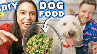 HOMEMADE DOG FOOD RECIPE  Healthy, easy & affordable!