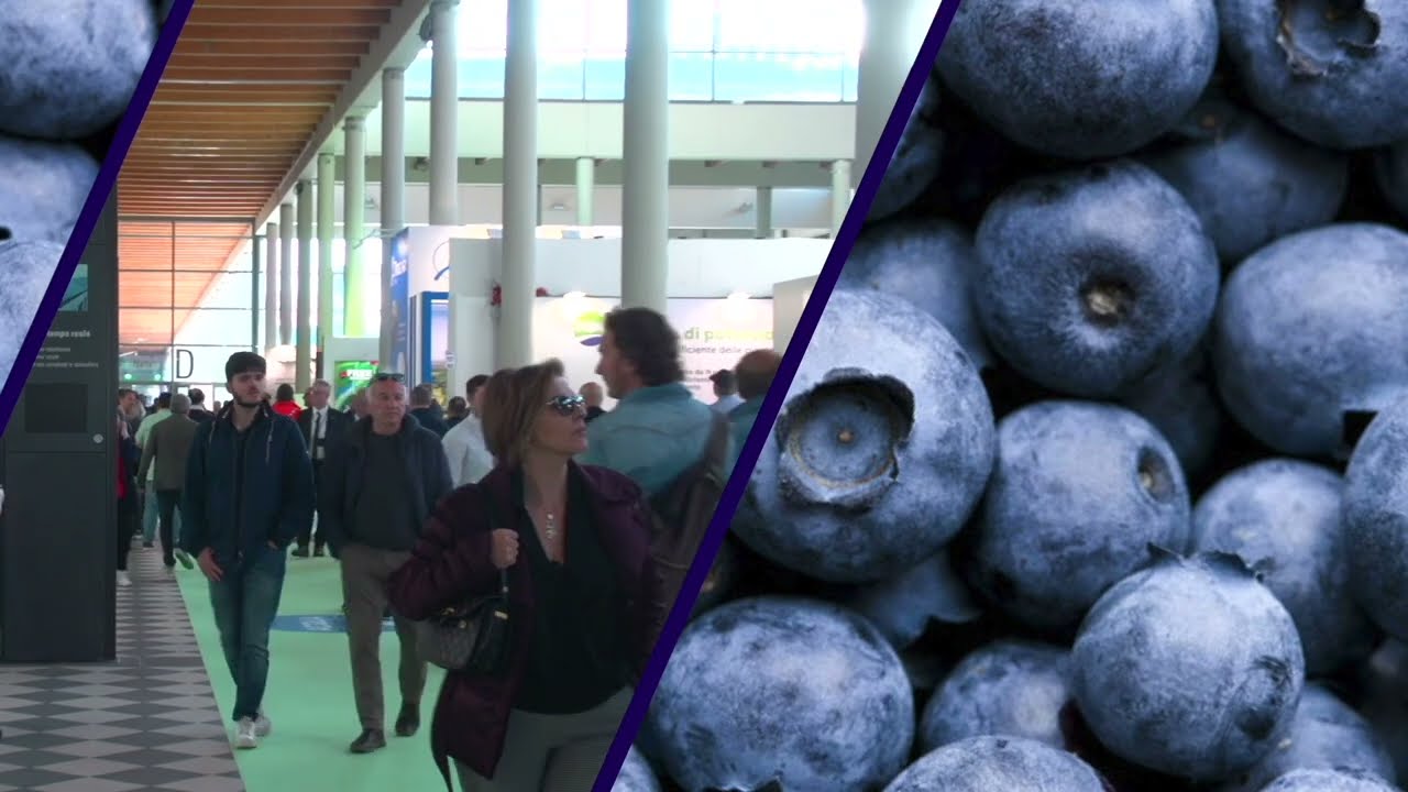 Macfrut 2023, parlano i protagonisti