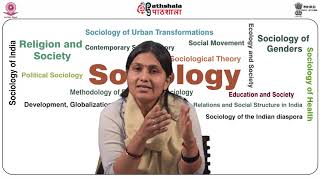 Sociology P07 M-17. Theorizing Informality