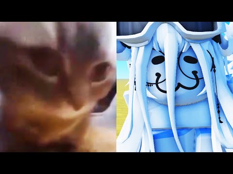 Chipi Chipi Chapa Chapa Dubi Dubi Daba Daba - Roblox Furry Animation