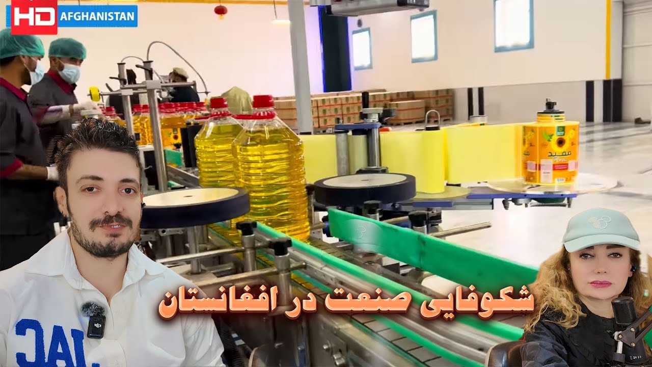 افغانستان در مسیر خودکفایی؛ طلای مایع، افتخار جدید تولید ملی