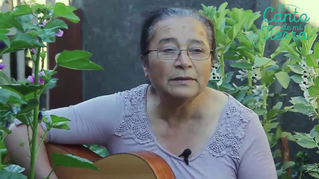 Hilda Morales Por una pluma que vuela YouTube