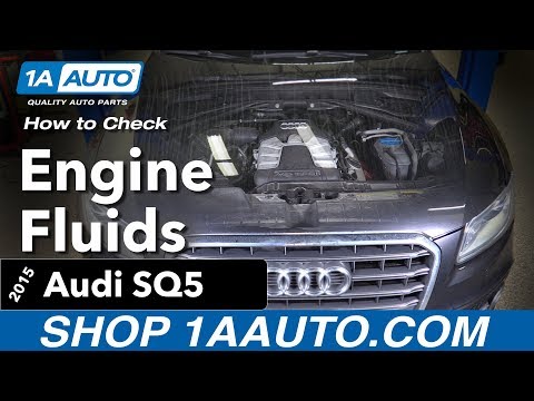How to Check you Engine Fluids 14-19 Audi SQ5