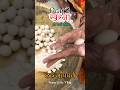 Chhath puja short video