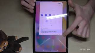 Samsung Galaxy Tab S8 How to turn off the tablet And how to set up the Power Button